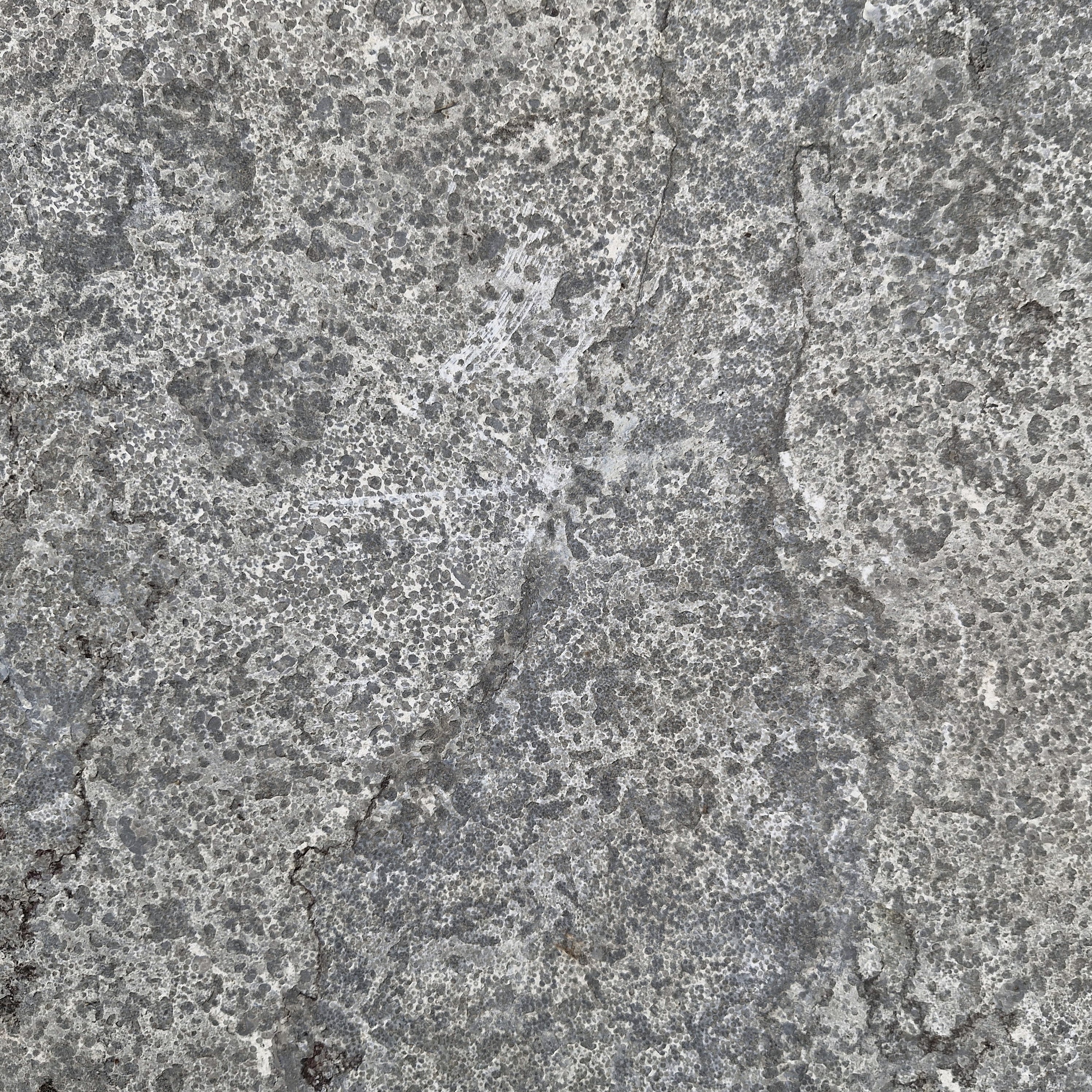 Terrassenplatten | Kalkstein | Naturstein | Restposten