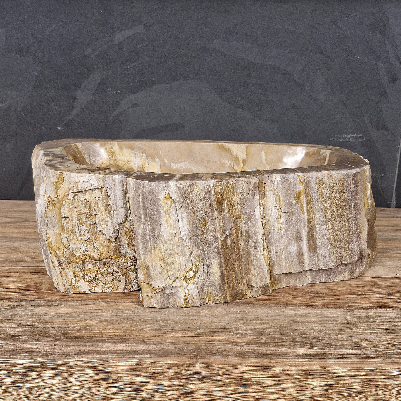 Aufsatzwaschbecken aus versteinertem Holz von Fossil Wood, Naturstein, Unikat, Maße 53x33x15 cm, für stilvolle Badgestaltung