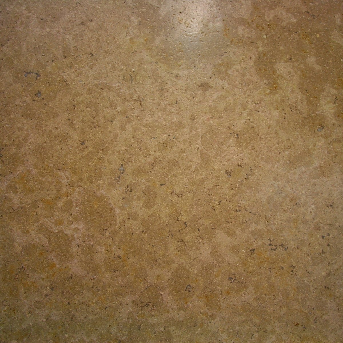 Gebürstete Kalksteinfliesen von SINAI PEARL, Naturstein, elegante Fliesen für Boden und Wand, strukturierte Oberfläche