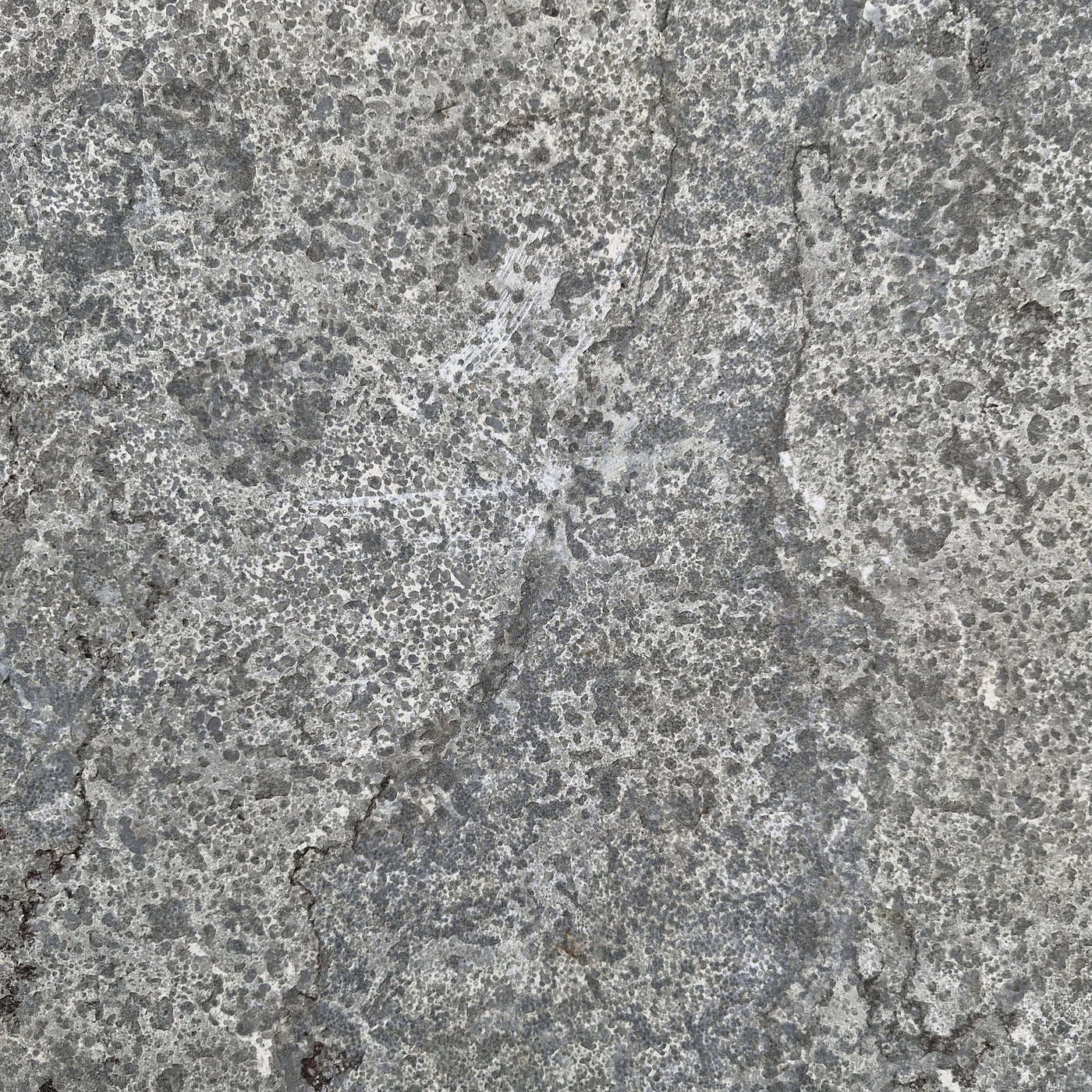 Blaustein Kalkstein Terrassenplatten in Flamed-Optik, 60x60 cm, naturbelassen, für Garten und Terrasse, Restposten