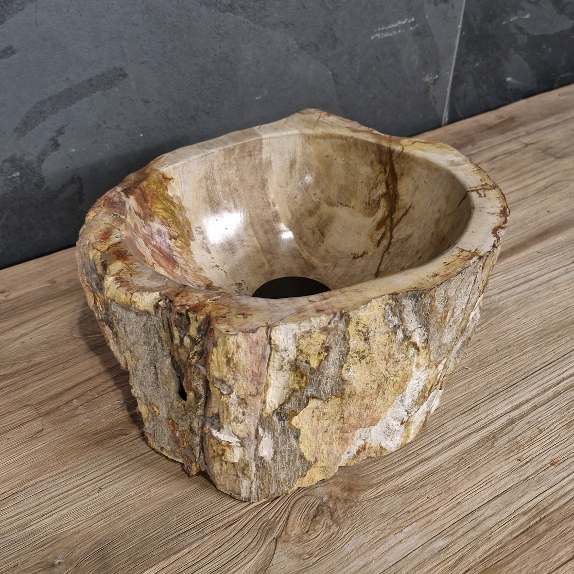 Aufsatzwaschbecken aus versteinertem Holz von FOSSIL WOOD, naturstein, 30x23x15cm, für Badgestaltung, Unikat, naturbelassen